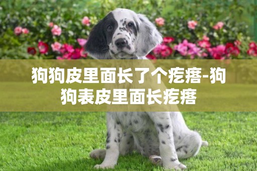 狗狗皮里面長了個疙瘩-狗狗表皮里面長疙瘩