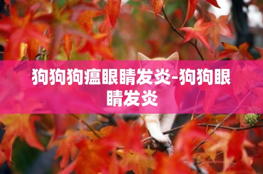 狗狗狗瘟眼睛發炎-狗狗眼睛發炎