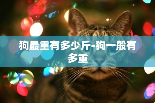 狗最重有多少斤-狗一般有多重