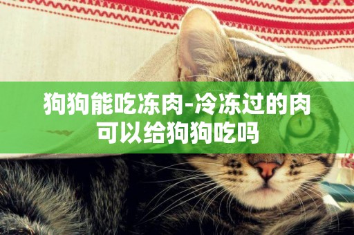 狗狗能吃凍肉-冷凍過的肉可以給狗狗吃嗎