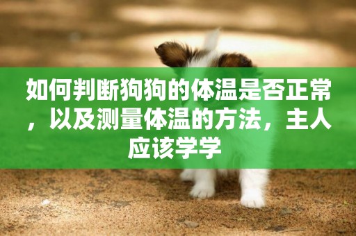 如何判斷狗狗的體溫是否正常，以及測量體溫的方法，主人應該學學 