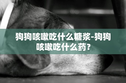 狗狗咳嗽吃什么糖漿-狗狗咳嗽吃什么藥？