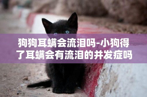 狗狗耳螨會流淚嗎-小狗得了耳螨會有流淚的并發癥嗎
