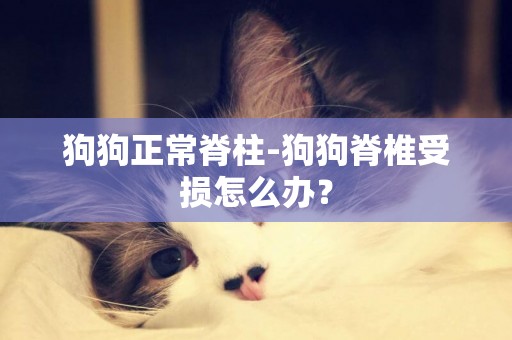 狗狗正常脊柱-狗狗脊椎受損怎么辦？