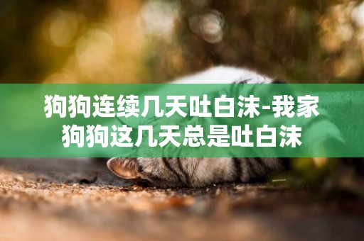 狗狗連續幾天吐白沫-我家狗狗這幾天總是吐白沫