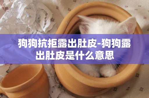 狗狗抗拒露出肚皮-狗狗露出肚皮是什么意思