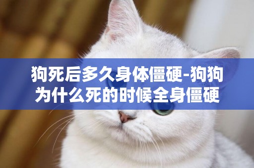 狗死后多久身體僵硬-狗狗為什么死的時候全身僵硬