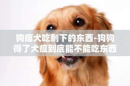 狗瘟犬吃剩下的東西-狗狗得了犬瘟到底能不能吃東西