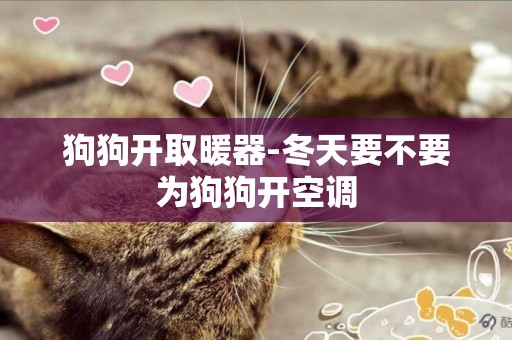 狗狗開取暖器-冬天要不要為狗狗開空調