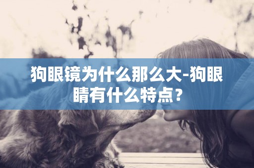 狗眼鏡為什么那么大-狗眼睛有什么特點？