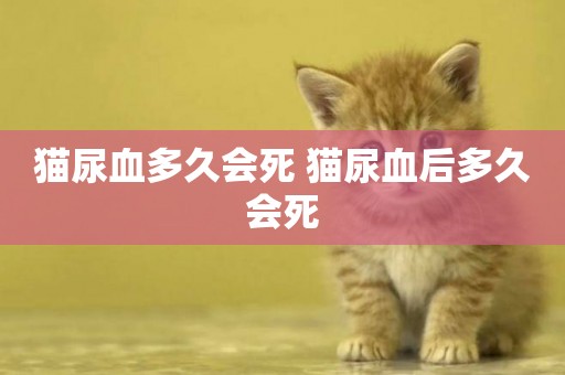 貓尿血多久會死 貓尿血后多久會死