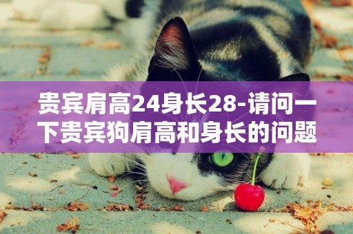 貴賓肩高24身長28-請問一下貴賓狗肩高和身長的問題?