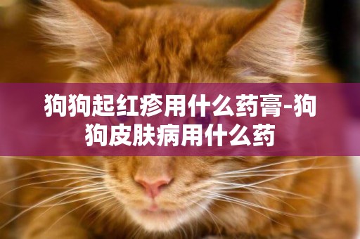 狗狗起紅疹用什么藥膏-狗狗皮膚病用什么藥