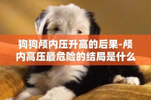 狗狗顱內壓升高的后果-顱內高壓最危險的結局是什么