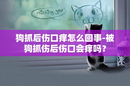 狗抓后傷口癢怎么回事-被狗抓傷后傷口會癢嗎？