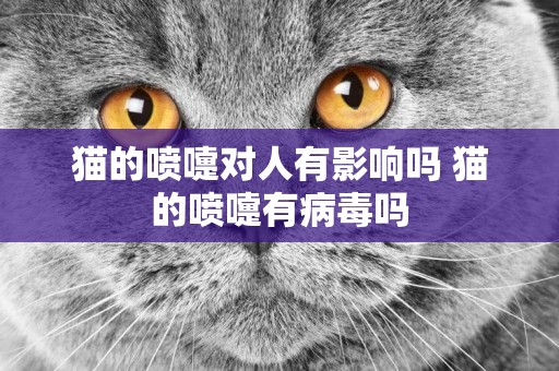 貓的噴嚏對人有影響嗎 貓的噴嚏有病毒嗎