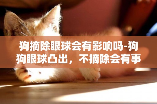 狗摘除眼球會有影響嗎-狗狗眼球凸出，不摘除會有事嗎