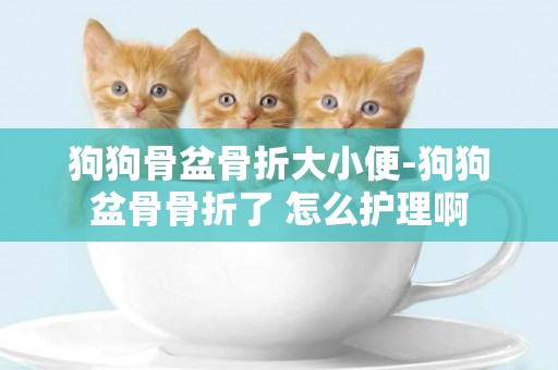 狗狗骨盆骨折大小便-狗狗盆骨骨折了 怎么護理啊