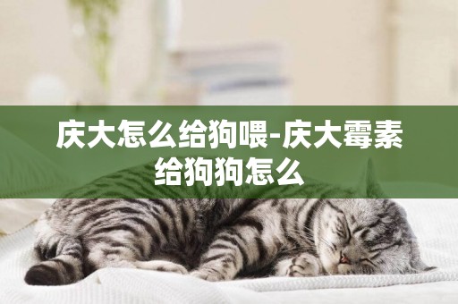 慶大怎么給狗喂-慶大霉素給狗狗怎么