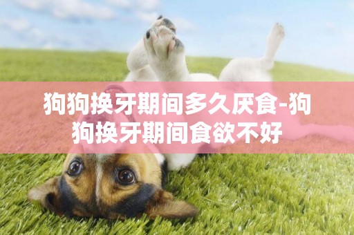 狗狗換牙期間多久厭食-狗狗換牙期間食欲不好
