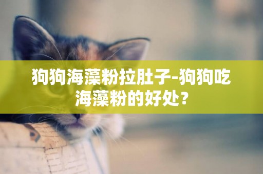 狗狗海藻粉拉肚子-狗狗吃海藻粉的好處？