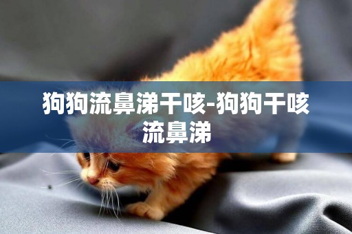 狗狗流鼻涕干咳-狗狗干咳流鼻涕