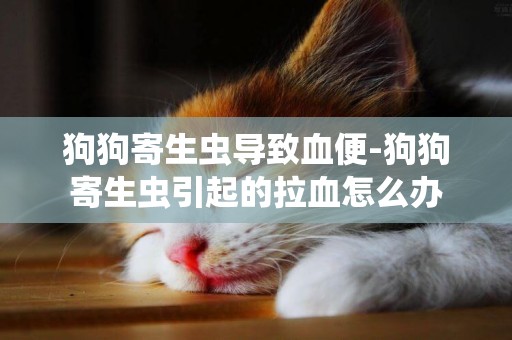 狗狗寄生蟲導致血便-狗狗寄生蟲引起的拉血怎么辦