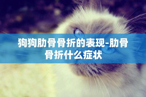 狗狗肋骨骨折的表現-肋骨骨折什么癥狀
