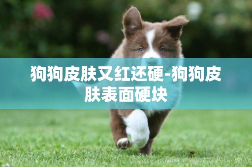 狗狗皮膚又紅還硬-狗狗皮膚表面硬塊