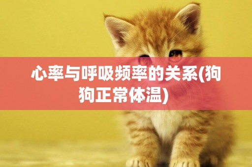 心率與呼吸頻率的關系(狗狗正常體溫) 