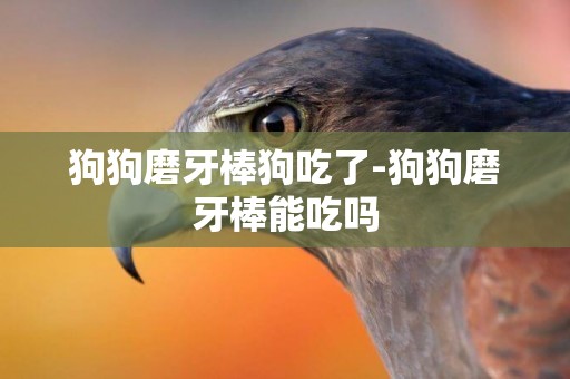 狗狗磨牙棒狗吃了-狗狗磨牙棒能吃嗎
