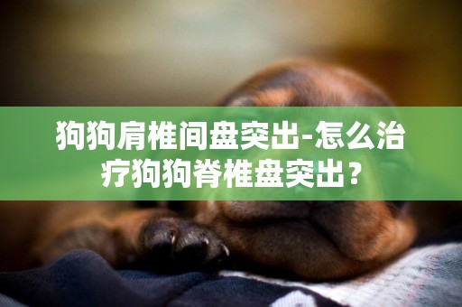 狗狗肩椎間盤突出-怎么治療狗狗脊椎盤突出？