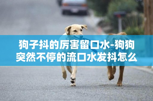 狗子抖的厲害留口水-狗狗突然不停的流口水發抖怎么回事