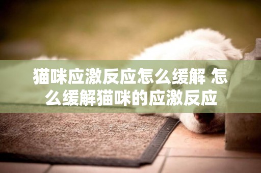貓咪應激反應怎么緩解 怎么緩解貓咪的應激反應