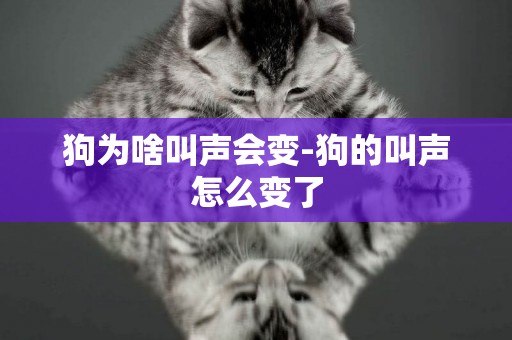 狗為啥叫聲會變-狗的叫聲怎么變了