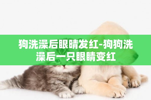 狗洗澡后眼晴發紅-狗狗洗澡后一只眼睛變紅