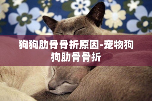 狗狗肋骨骨折原因-寵物狗狗肋骨骨折