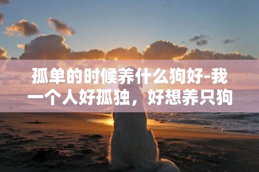 孤單的時候養什么狗好-我一個人好孤獨，好想養只狗，養什么狗呢