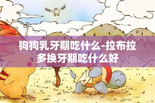 狗狗乳牙期吃什么-拉布拉多換牙期吃什么好