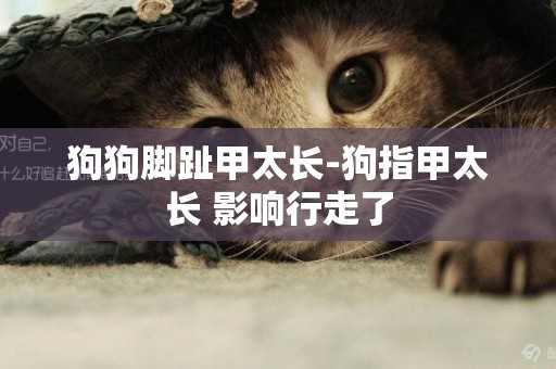 狗狗腳趾甲太長-狗指甲太長 影響行走了