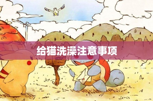 給貓洗澡注意事項