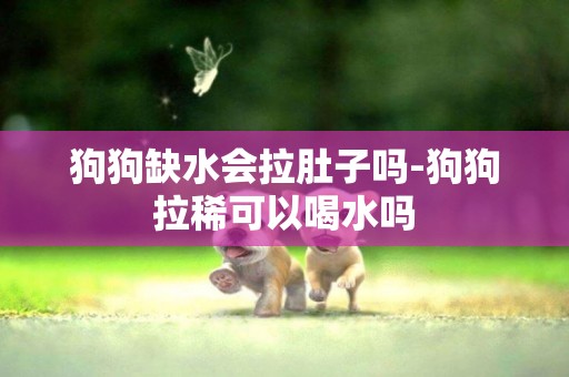 狗狗缺水會拉肚子嗎-狗狗拉稀可以喝水嗎