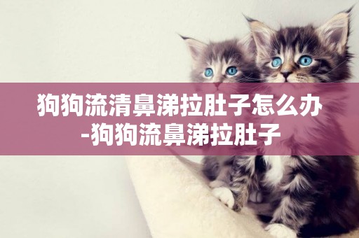 狗狗流清鼻涕拉肚子怎么辦-狗狗流鼻涕拉肚子