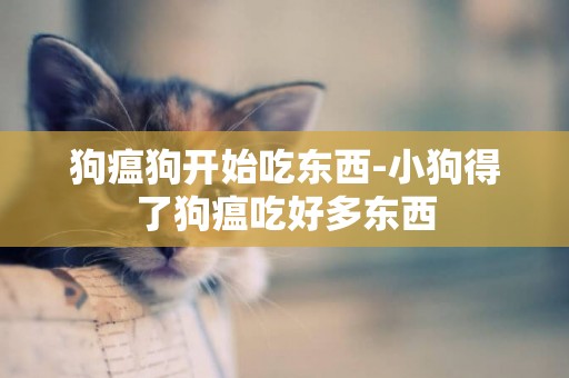 狗瘟狗開始吃東西-小狗得了狗瘟吃好多東西
