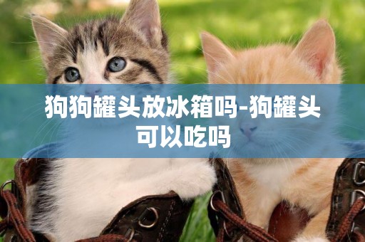 狗狗罐頭放冰箱嗎-狗罐頭可以吃嗎