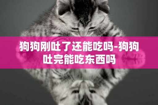 狗狗剛吐了還能吃嗎-狗狗吐完能吃東西嗎