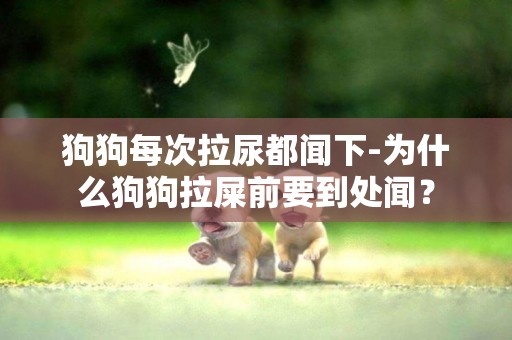 狗狗每次拉尿都聞下-為什么狗狗拉屎前要到處聞？