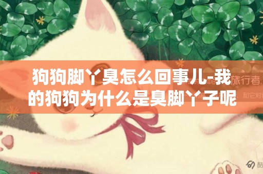 狗狗腳丫臭怎么回事兒-我的狗狗為什么是臭腳丫子呢