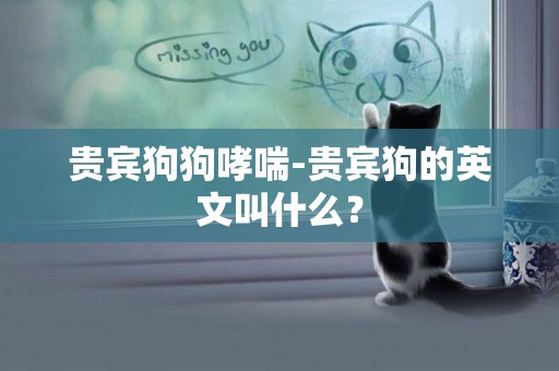 貴賓狗狗哮喘-貴賓狗的英文叫什么？