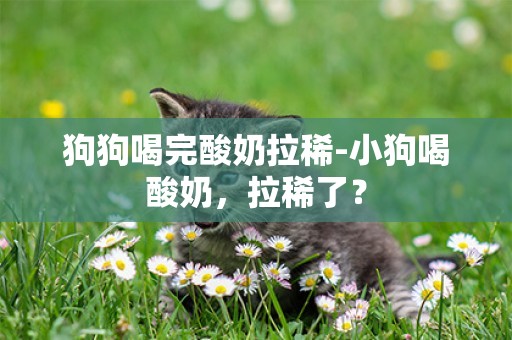 狗狗喝完酸奶拉稀-小狗喝酸奶，拉稀了？